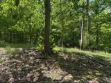 0 Pitts Gap Mtn Road - Photo 21
