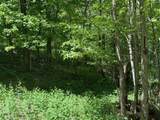 0 Pitts Gap Mtn Road - Photo 25
