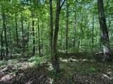 0 Pitts Gap Mtn Road - Photo 27