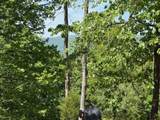 0 Pitts Gap Mtn Road - Photo 34