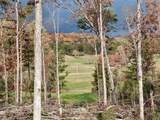 233 Finger Board Road - Photo 16