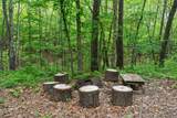 65 Rocky Top Trail - Photo 35