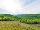315 Morris Point Lane - Photo 99