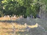 247 Hwy 156 - Photo 36
