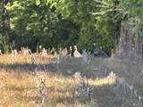 247 Hwy 156 - Photo 37