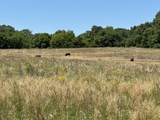 247 Hwy 156 - Photo 46