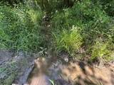 247 Hwy 156 - Photo 50