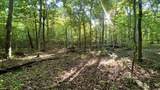 7 Mile Ridge Road - Photo 20