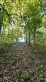7 Mile Ridge Road - Photo 23