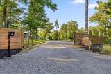 203 Lombardi Road - Photo 2