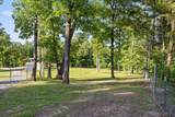 203 Lombardi Road - Photo 55