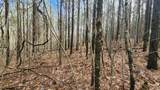 0-Lot 561 Crockett Point - Photo 4