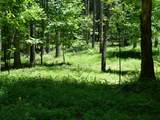 3256 Summer City - Photo 1