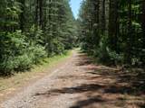 3256 Summer City - Photo 2