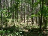 3256 Summer City - Photo 3