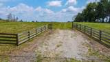 953 Cedar Springs Road - Photo 23