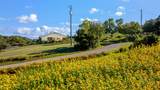 794 Halls Valley Road - Photo 11