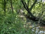 000 Hensley Wilson Lane - Photo 13