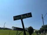 000 Hensley Wilson Lane - Photo 3