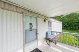 3151 Halls Valley Drive - Photo 19