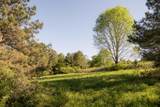 778 County Road 65 - Photo 35