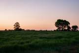 778 County Road 65 - Photo 47