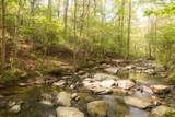 778 County Road 65 - Photo 48