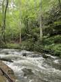 778 County Road 65 - Photo 5