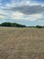 778 County Road 65 - Photo 51