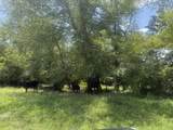 0 Howard Beavert Road - Photo 27