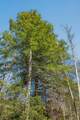 253 Highway 27 Daus Mountain Road - Photo 10