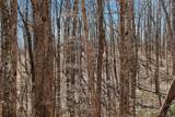 253 Highway 27 Daus Mountain Road - Photo 17