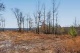 253 Highway 27 Daus Mountain Road - Photo 4