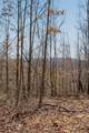 253 Highway 27 Daus Mountain Road - Photo 40