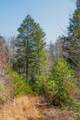 253 Highway 27 Daus Mountain Road - Photo 46