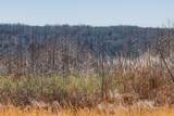 253 Highway 27 Daus Mountain Road - Photo 48