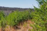 253 Highway 27 Daus Mountain Road - Photo 52