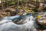 253 Highway 27 Daus Mountain Road - Photo 55