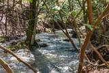 253 Highway 27 Daus Mountain Road - Photo 6