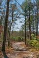 253 Highway 27 Daus Mountain Road - Photo 62