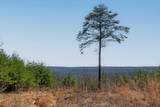 253 Highway 27 Daus Mountain Road - Photo 66