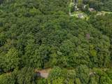 Lot 134 Lower Brow Road - Photo 5