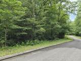 Lot 135 Lower Brow Road - Photo 1