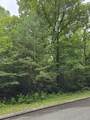 Lot 135 Lower Brow Road - Photo 2