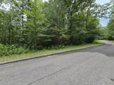 Lot 135 Lower Brow Road - Photo 3