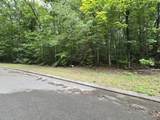 Lot 136 Lower Brow Road - Photo 1