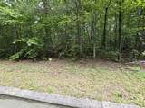 Lot 136 Lower Brow Road - Photo 2