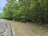 Lot 136 Lower Brow Road - Photo 3