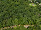 Lot 136 Lower Brow Road - Photo 6
