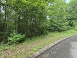 Lot 141 Lower Brow Road - Photo 3